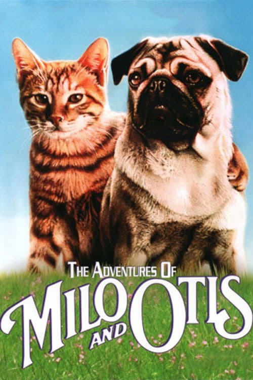 Orange tabby kitten Milo and pug puppy Otis on the US poster for The Adventures of Milo and Otis